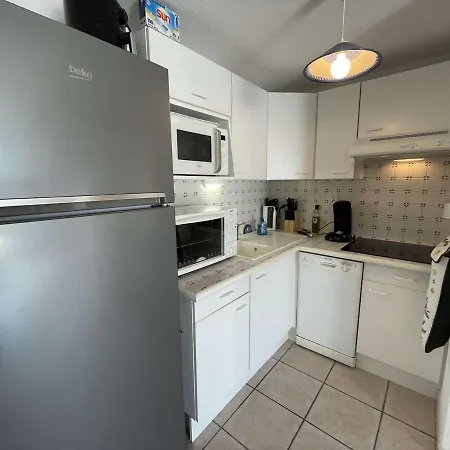 Maison 3 Pieces Avec Mezzanine, Jardin Clos, A 200m De La - - Fr-1-224c-270 Nyaraló
